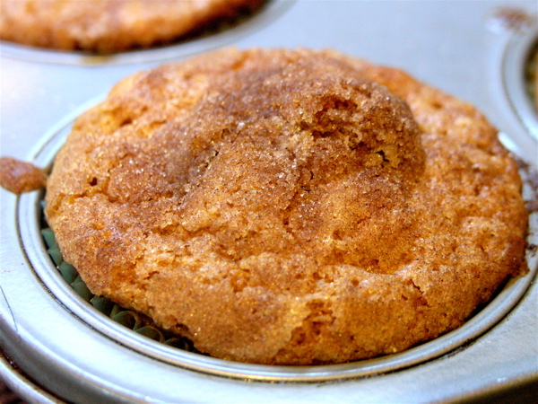 Apple Streusel Cinnamon Swirl Cupcakes